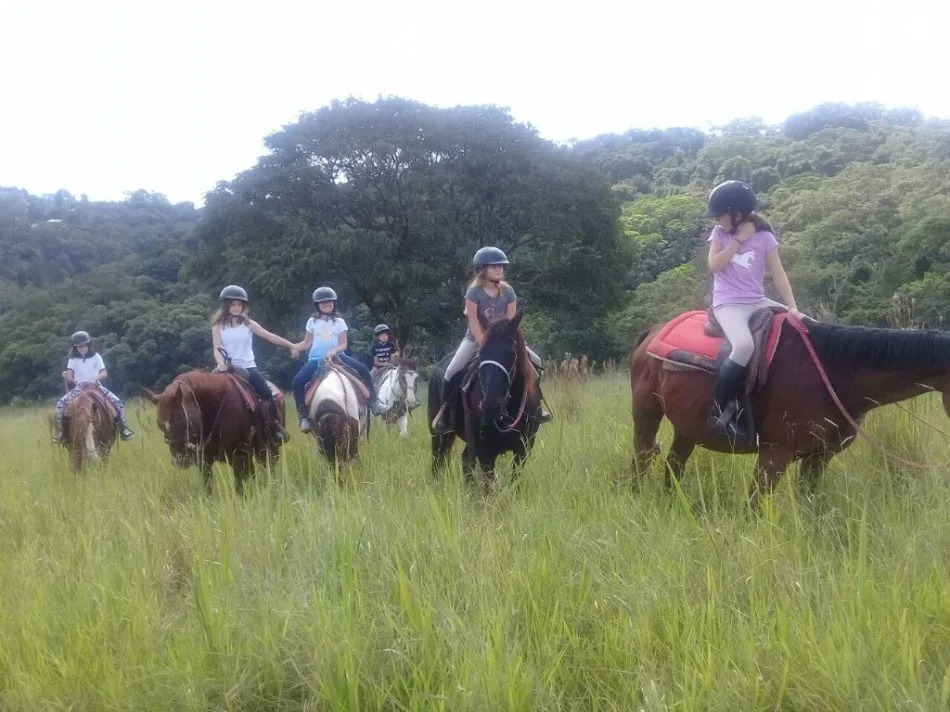 Os Melhores Haras e Ranchos para Aulas de Equitação em São Paulo e Rio de Janeiro