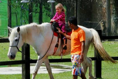 Dominando a Posição: Dicas para Melhorar Sua Postura ao Montar a Cavalo