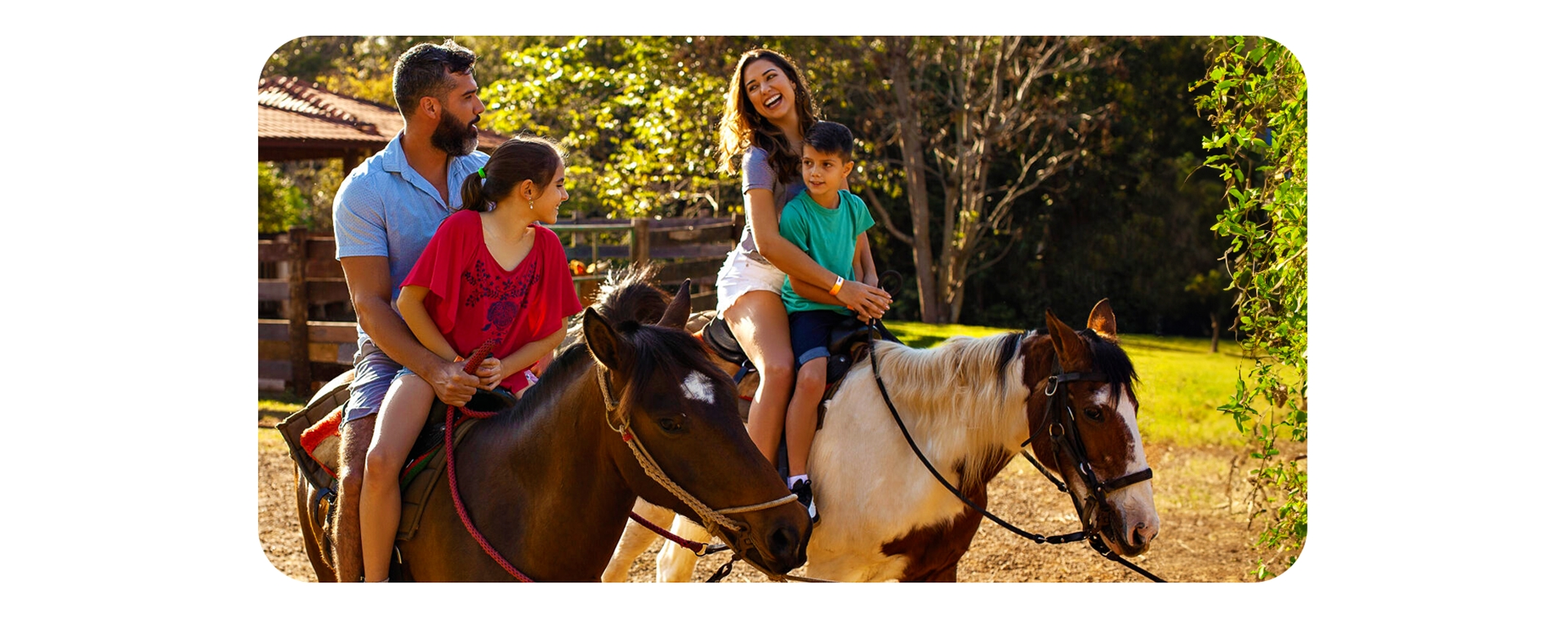 Equoterapia: Uma Abordagem Terapêutica com Cavalos para Bem-Estar