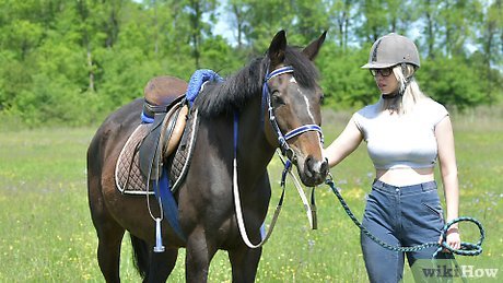 Os Melhores Haras e Ranchos para Aulas de Equitação em São Paulo e Rio de Janeiro
