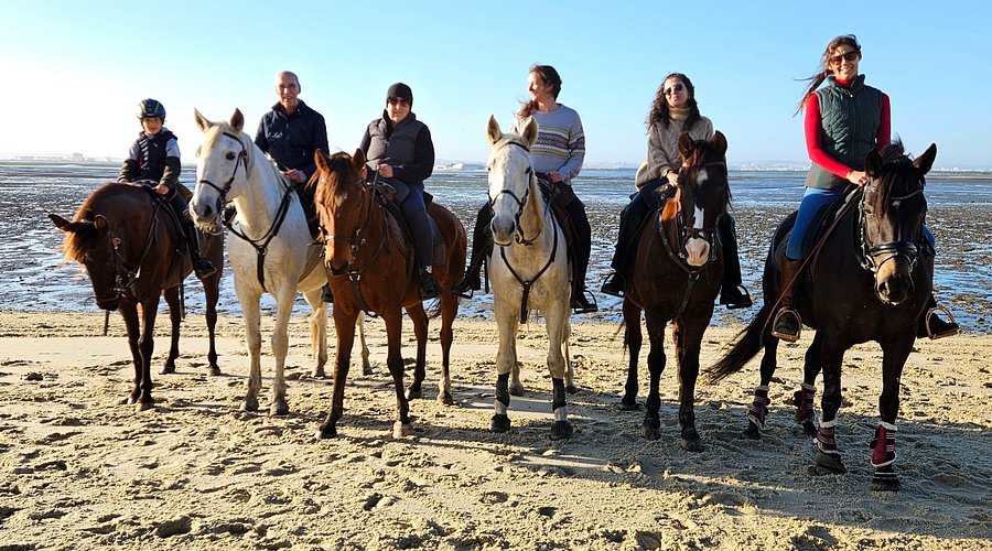 Equipamentos Essenciais para Andar a Cavalo: O Que Você Realmente Precisa?