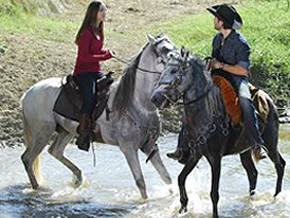 Equipamentos Essenciais para Andar a Cavalo: O Que Você Realmente Precisa?