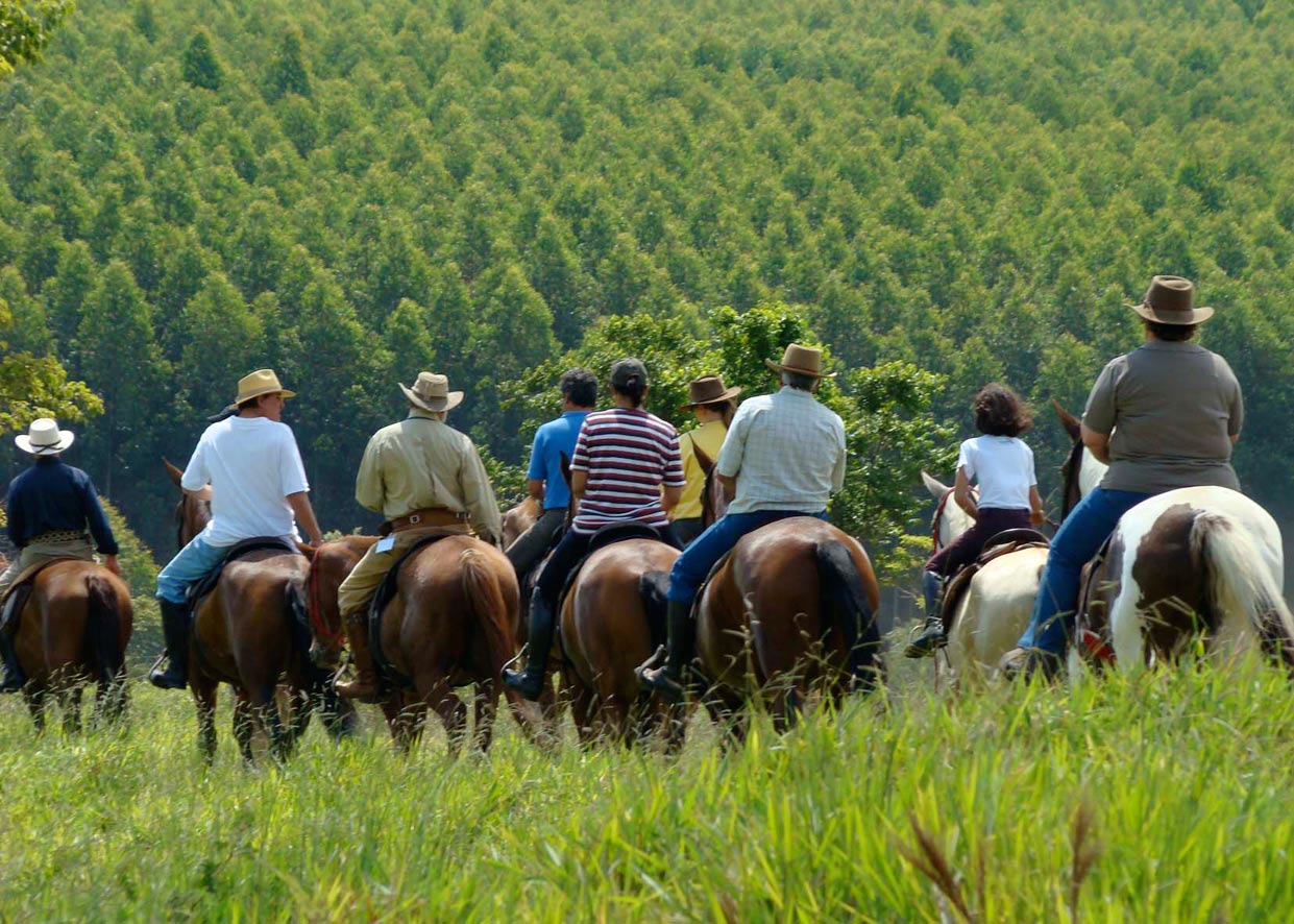 Equoterapia: Uma Abordagem Terapêutica com Cavalos para Bem-Estar