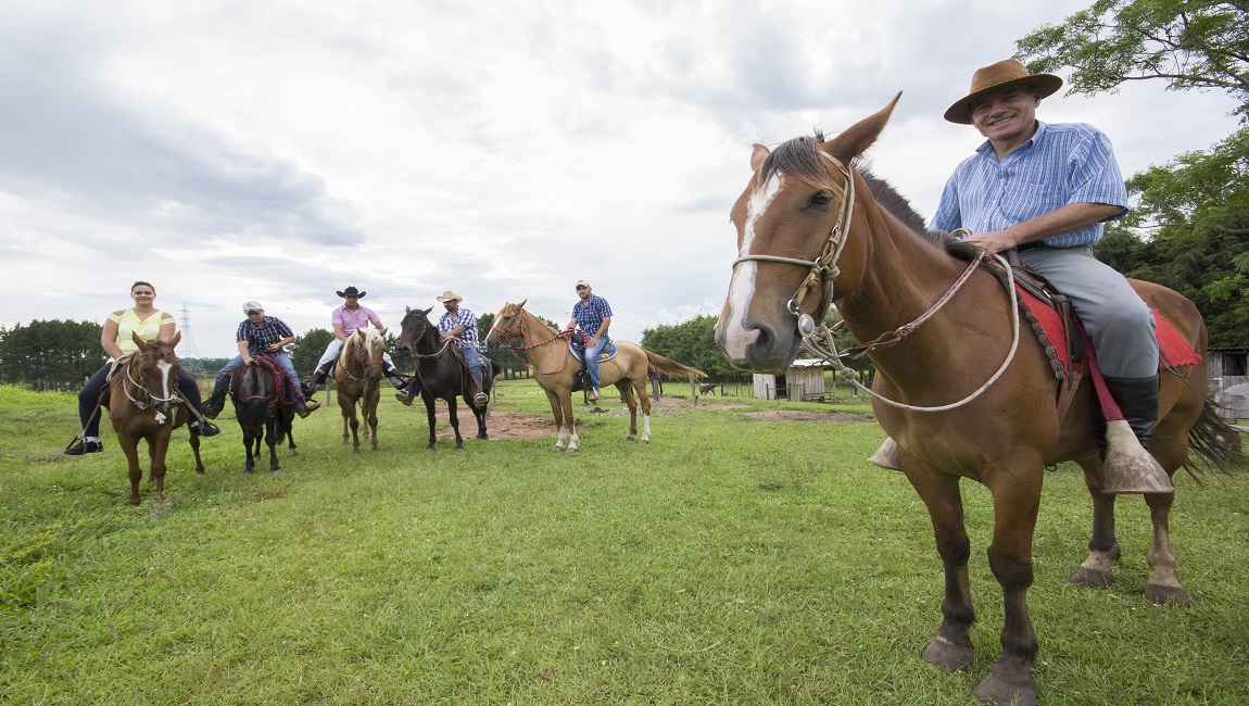 Equoterapia: Uma Abordagem Terapêutica com Cavalos para Bem-Estar