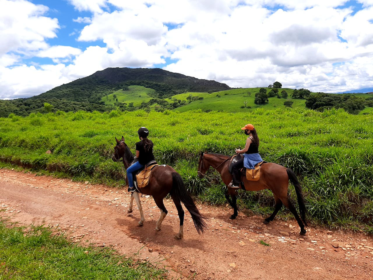 Os Melhores Haras e Ranchos para Aulas de Equitação em São Paulo e Rio de Janeiro
