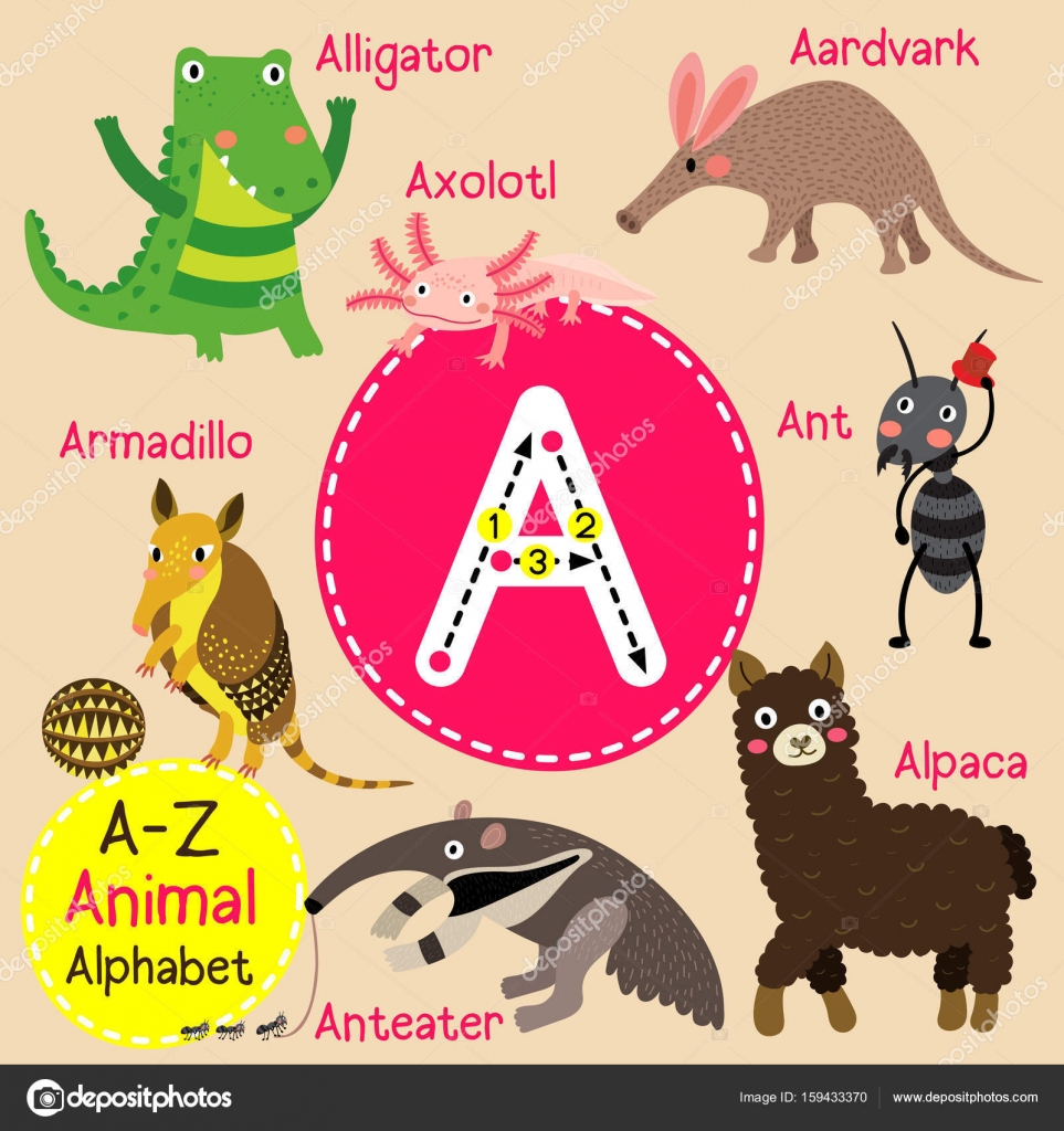 animais que começam com A em inglês