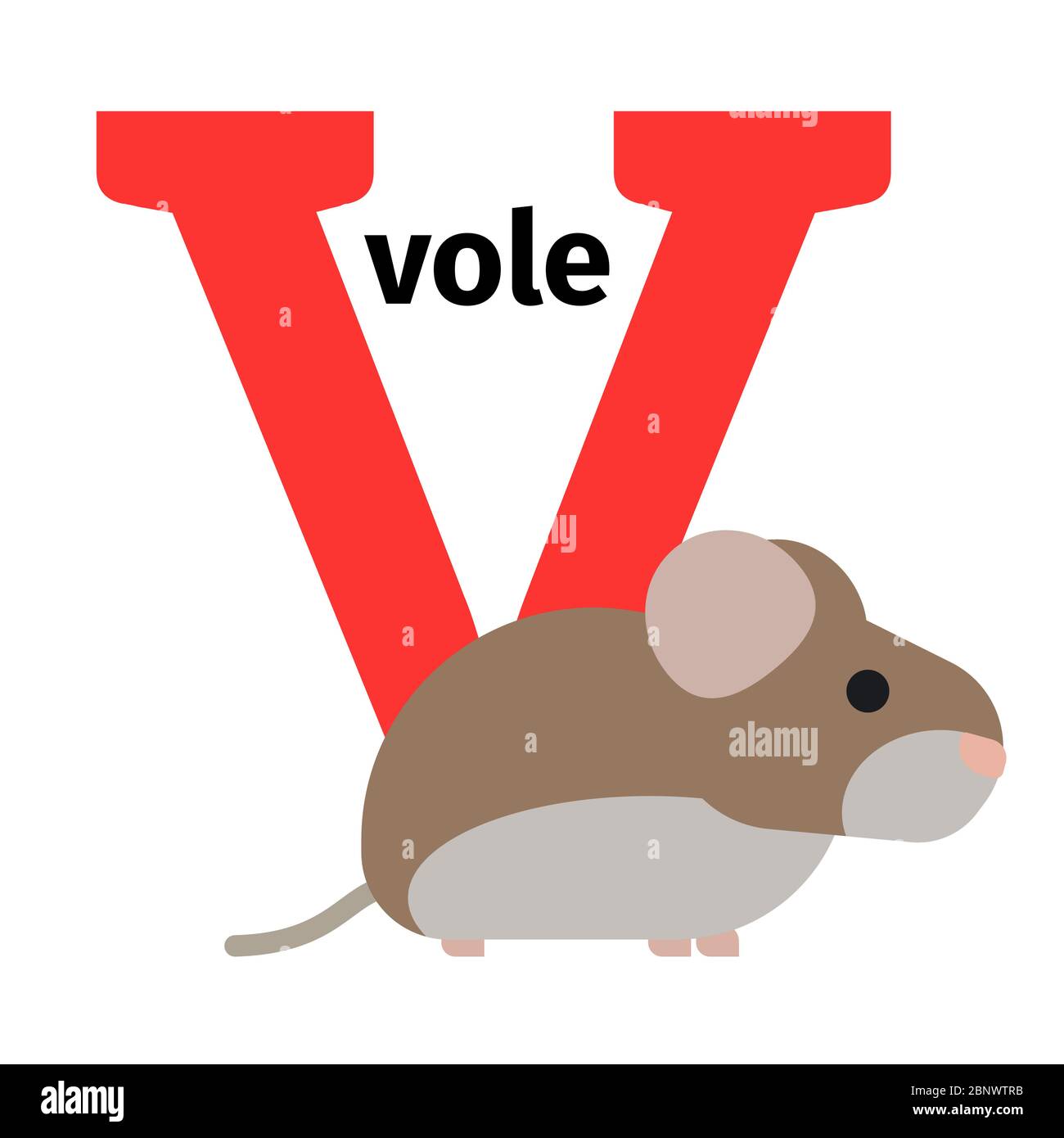 animais que começam com A em inglês