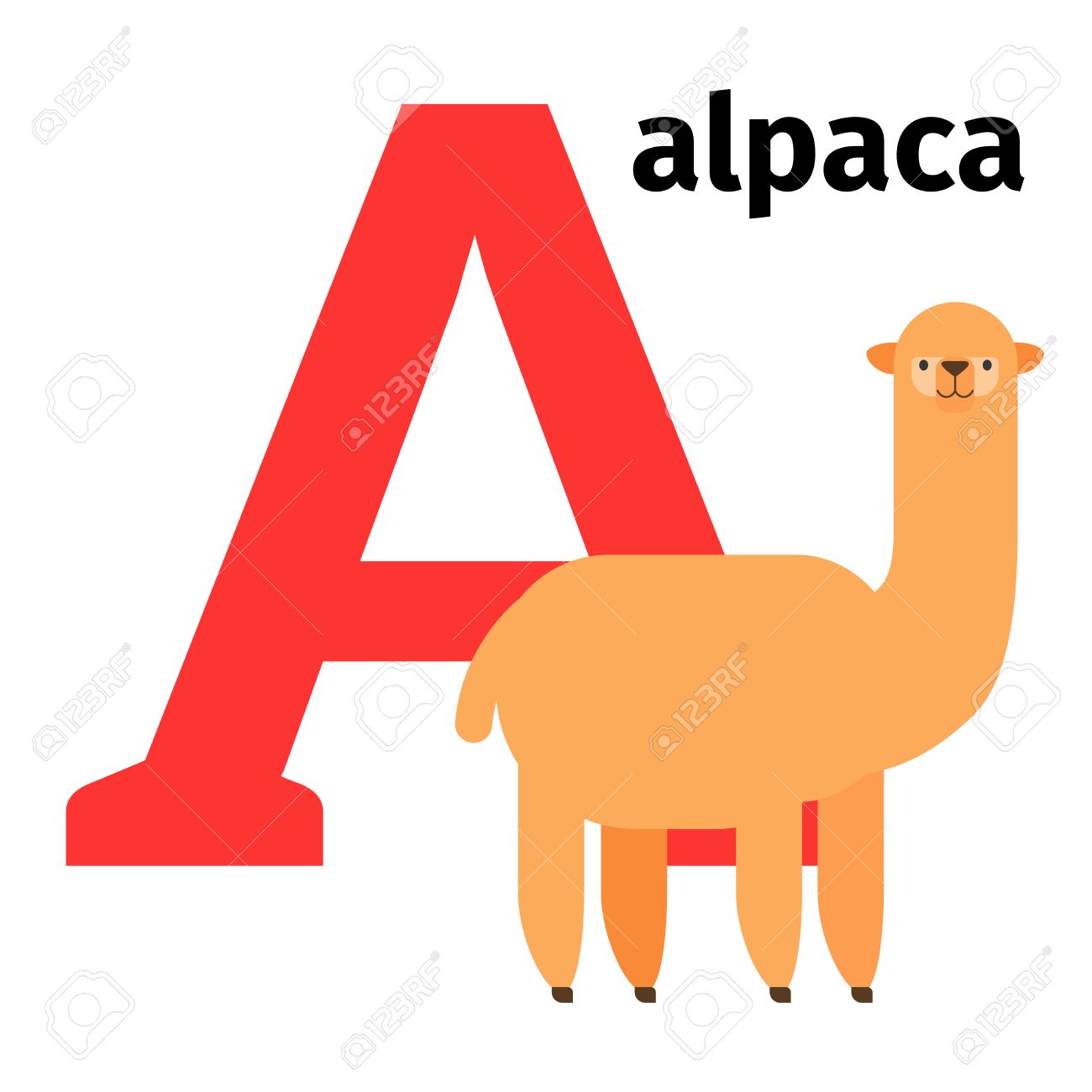 animais selvagens com A em inglês