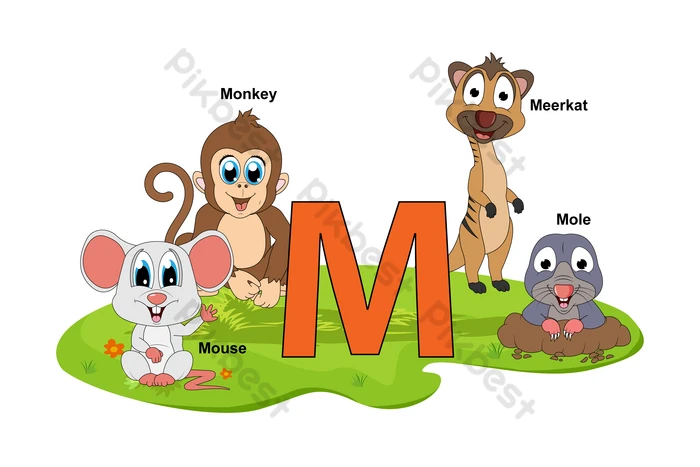 animais aves com a letra m