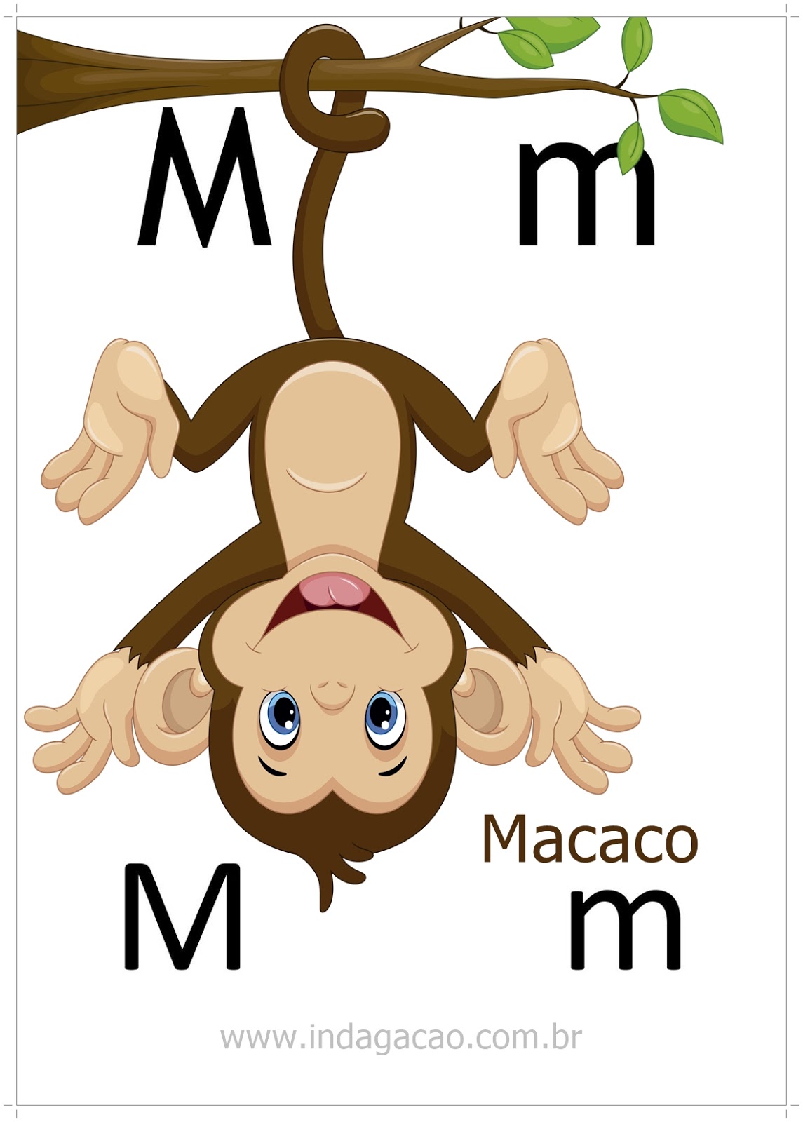 animais de estimação com a letra m