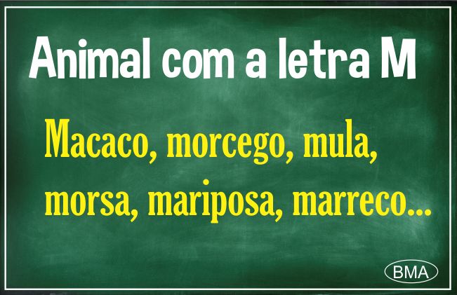 animais pequenos com a letra m