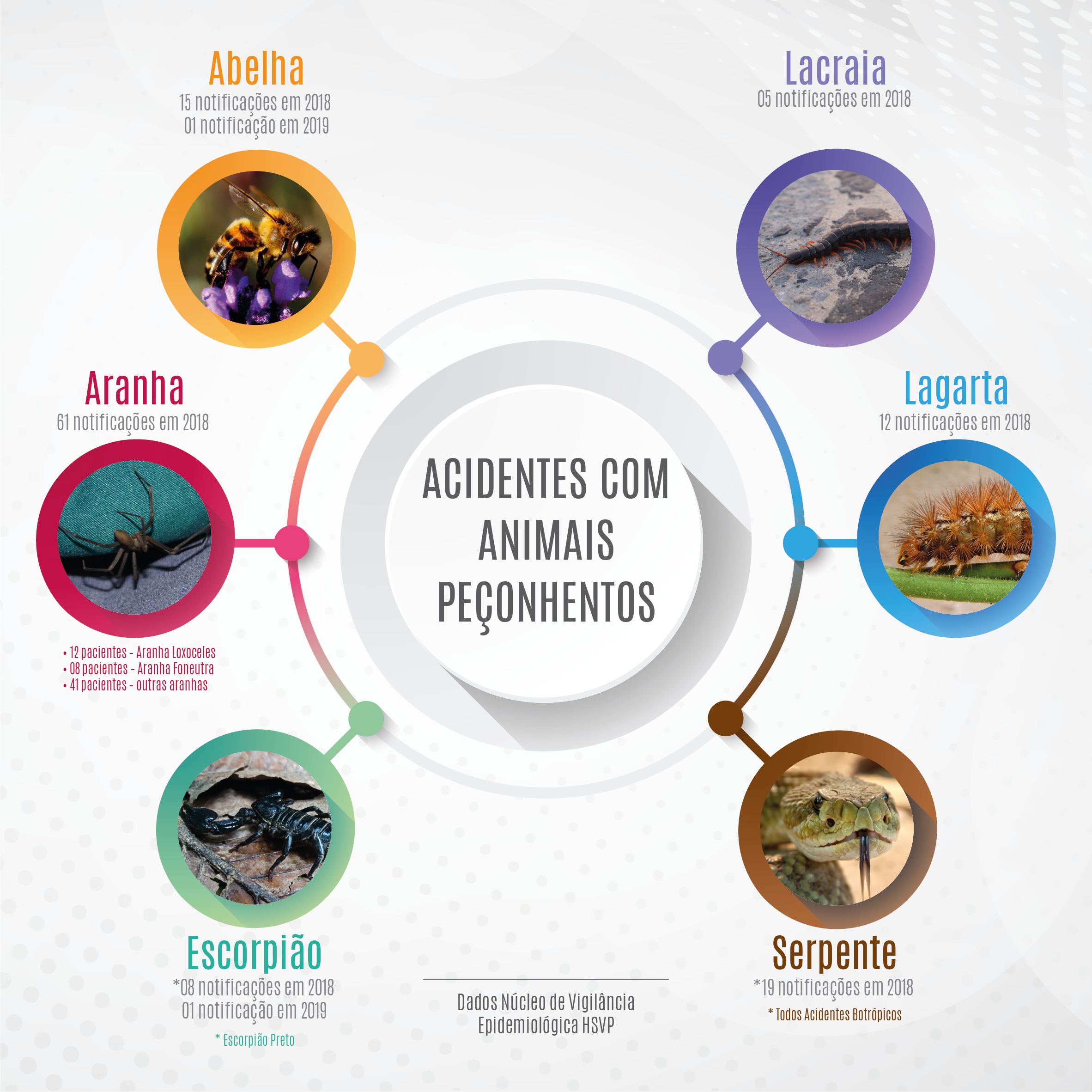 Guia Completo: Como Identificar os Principais Animais Peçonhentos do Brasil