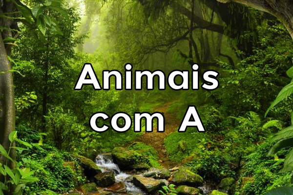 aves que começam com a