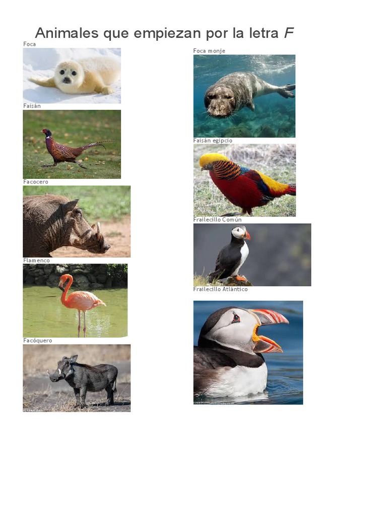 animais que começam com F