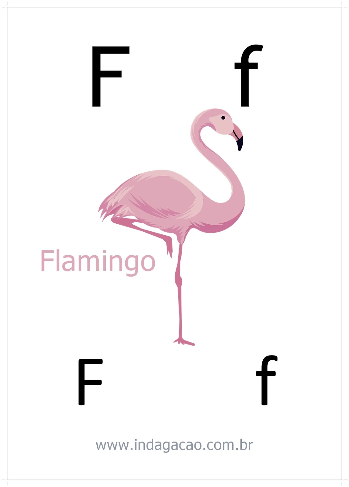 mamíferos com F
