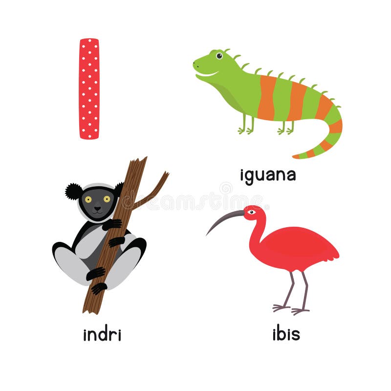 animal com i para jogo