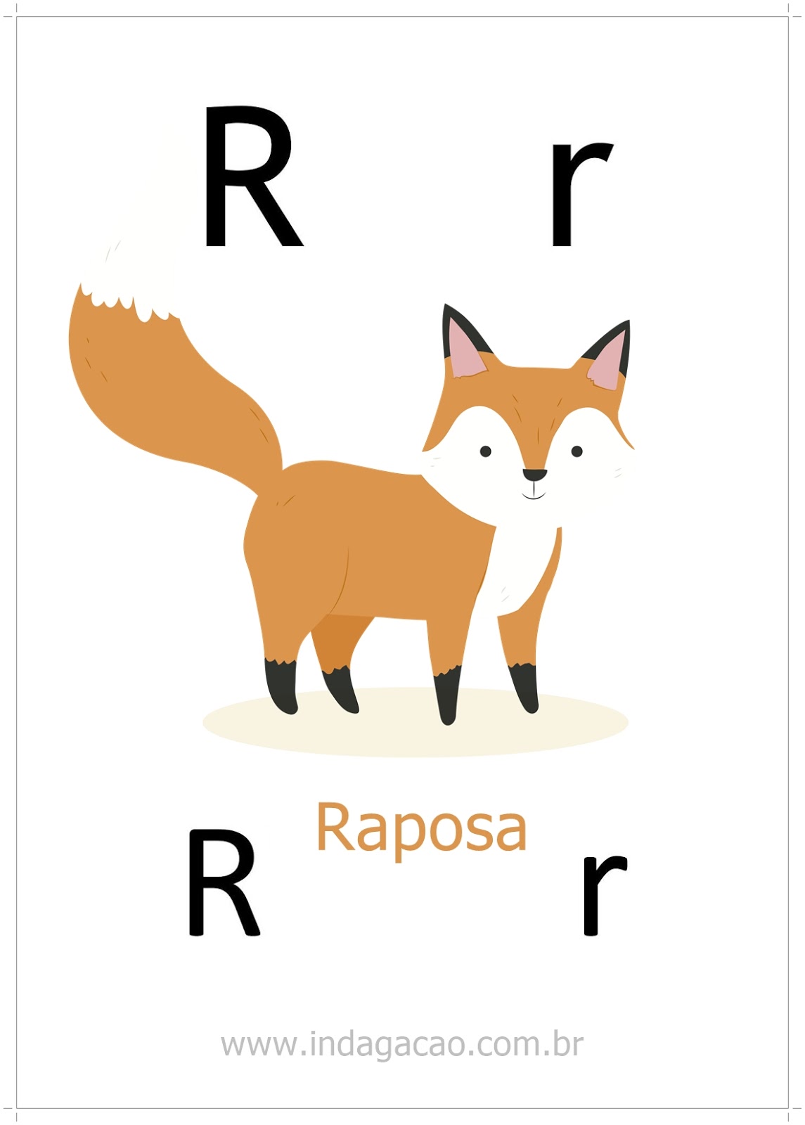 lista de animais com a letra R