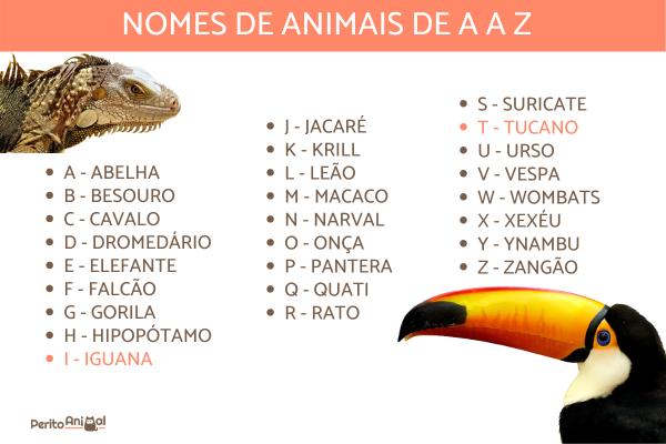 animais terrestres com a letra a