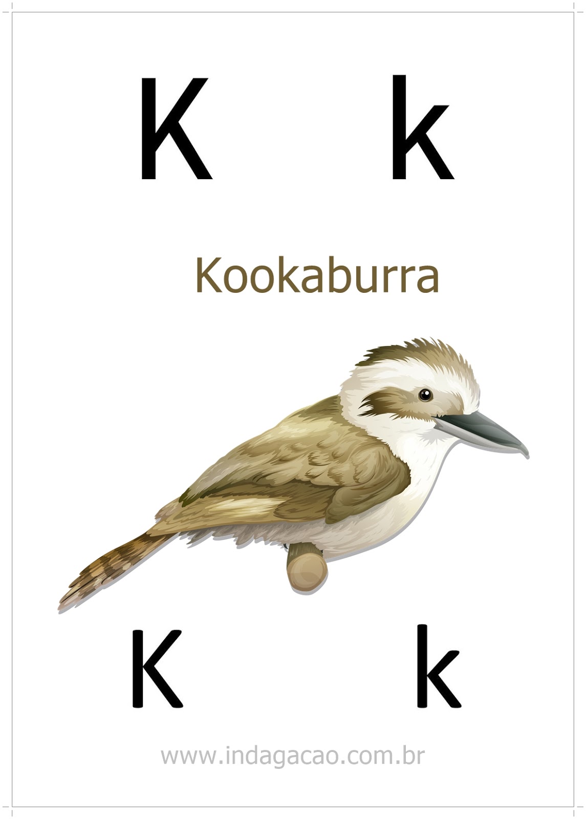 animais com k para adedonha