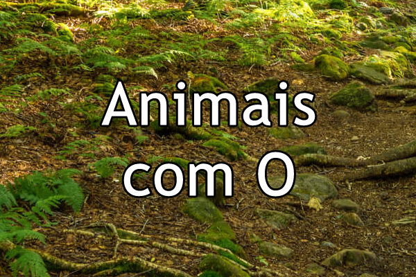 animais com o para trabalho escolar