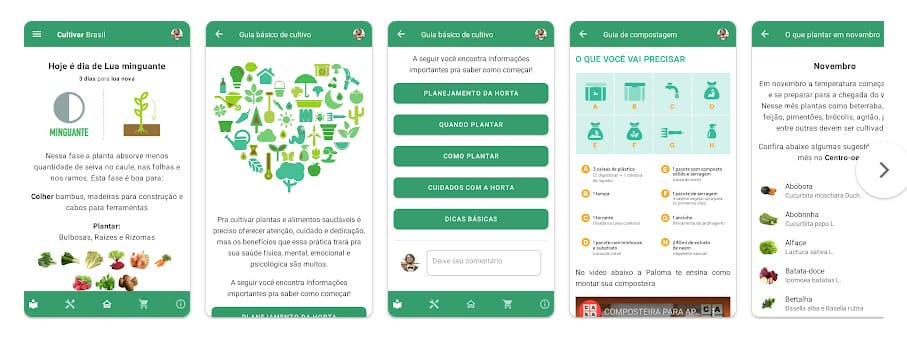 melhores apps para identificar plantas
