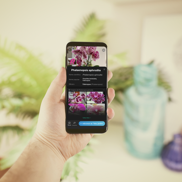 como cuidar de plantas com celular