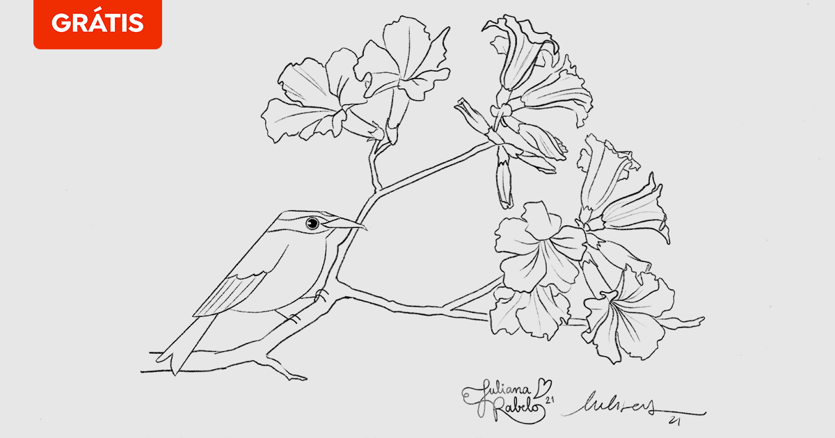 livros de aquarela para colorir