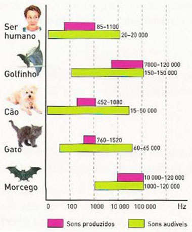 limite de audição cães