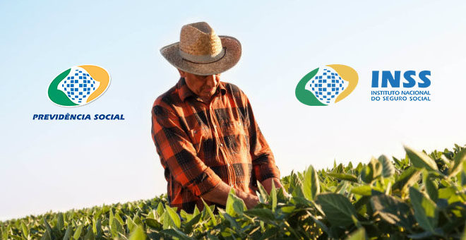 Guia Completo: Como Preencher a Autodeclaração Rural no Meu INSS
