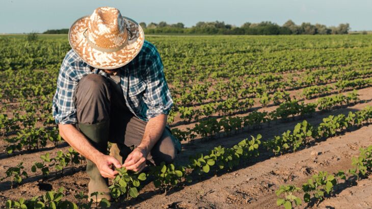 Qual o Valor do Auxílio-Doença para o Trabalhador Rural em 2025?