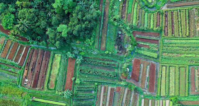 Apoio Técnico no Crédito Fundiário: Garanta o Sucesso do Seu Projeto Rural
