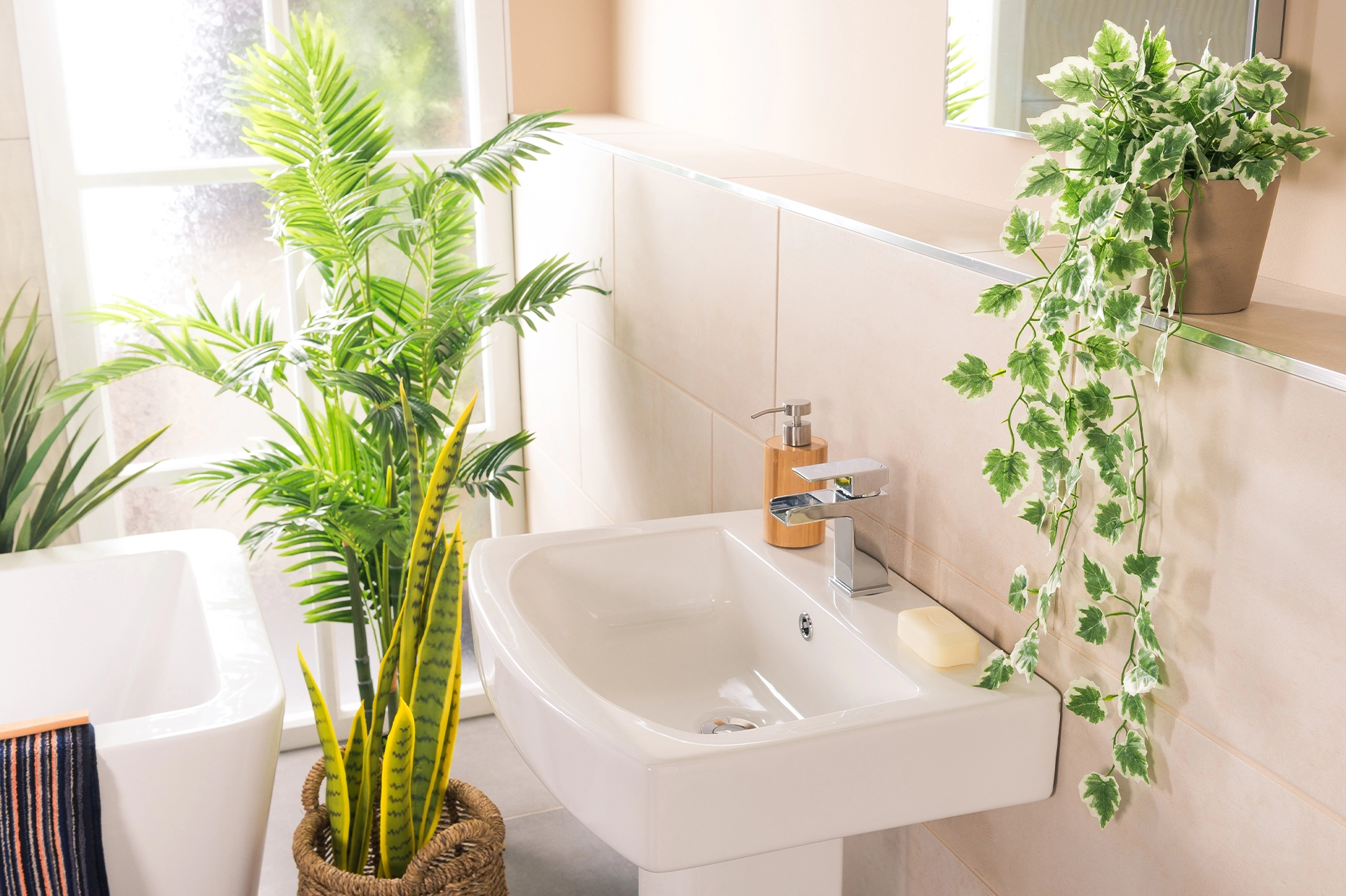 plantas para banheiro sem janela