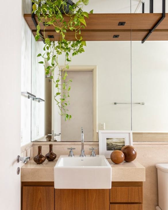 plantas purificadoras de ar para banheiro