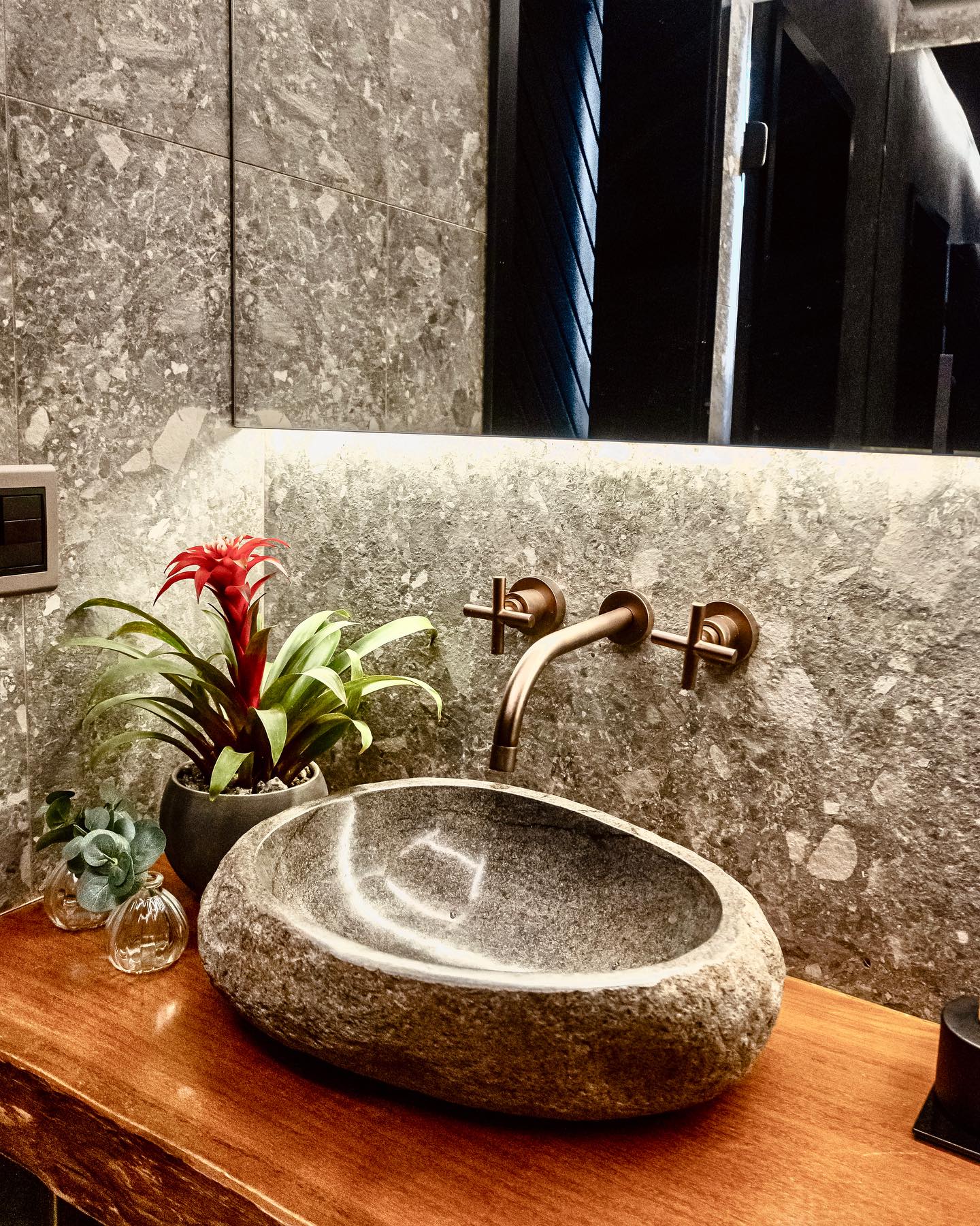 como cuidar de plantas no banheiro