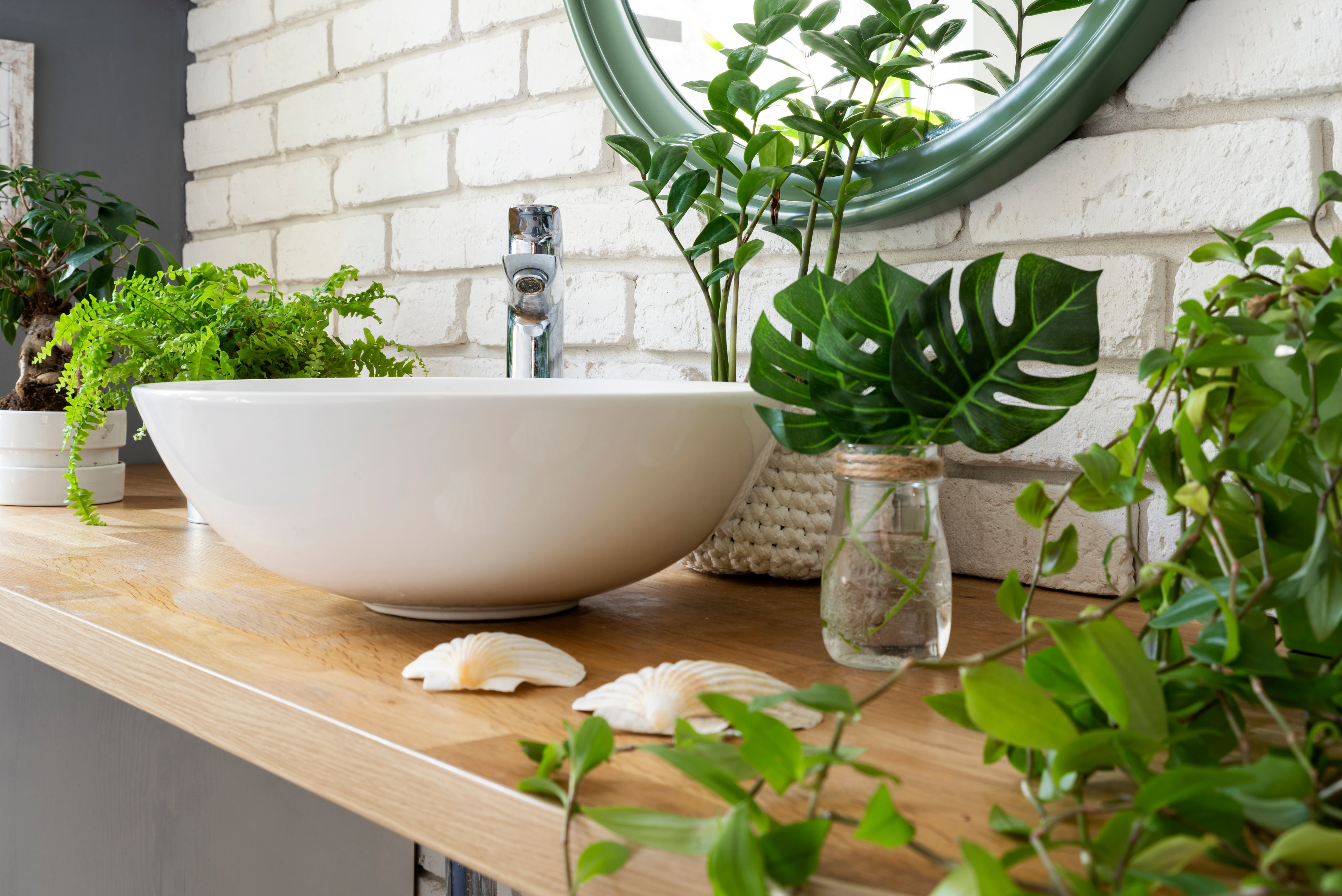 plantas para banheiro pequeno