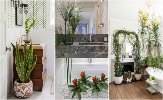 plantas para banheiro sem janela