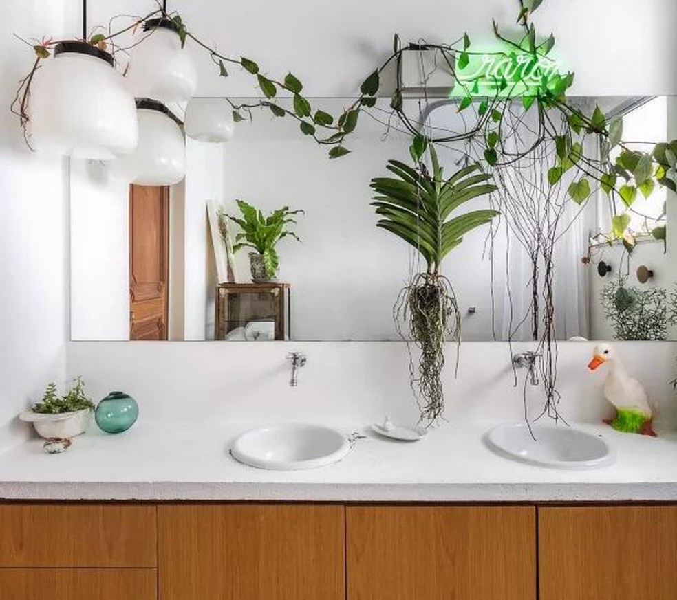 plantas fáceis de cuidar para banheiro