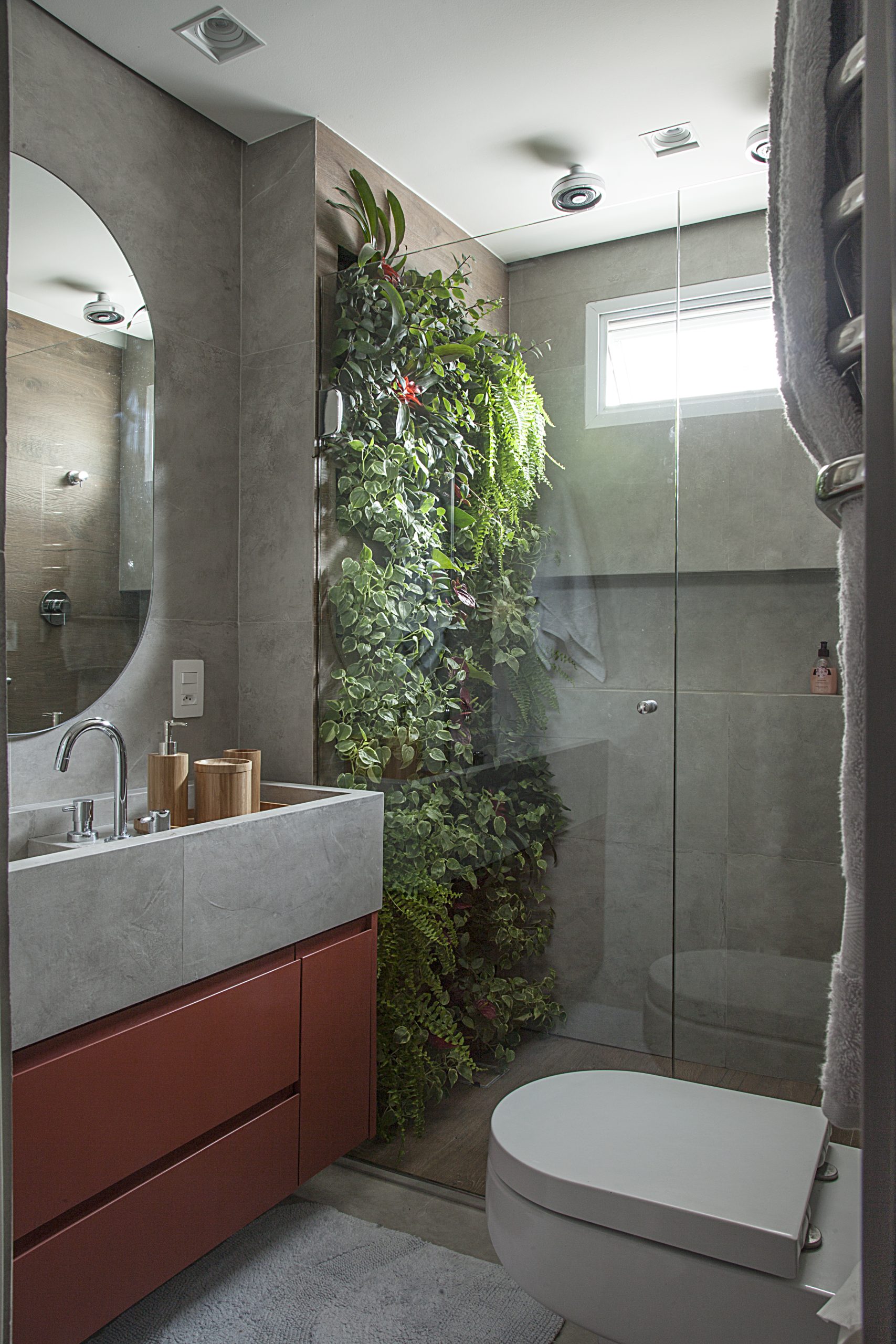 plantas purificadoras de ar para banheiro