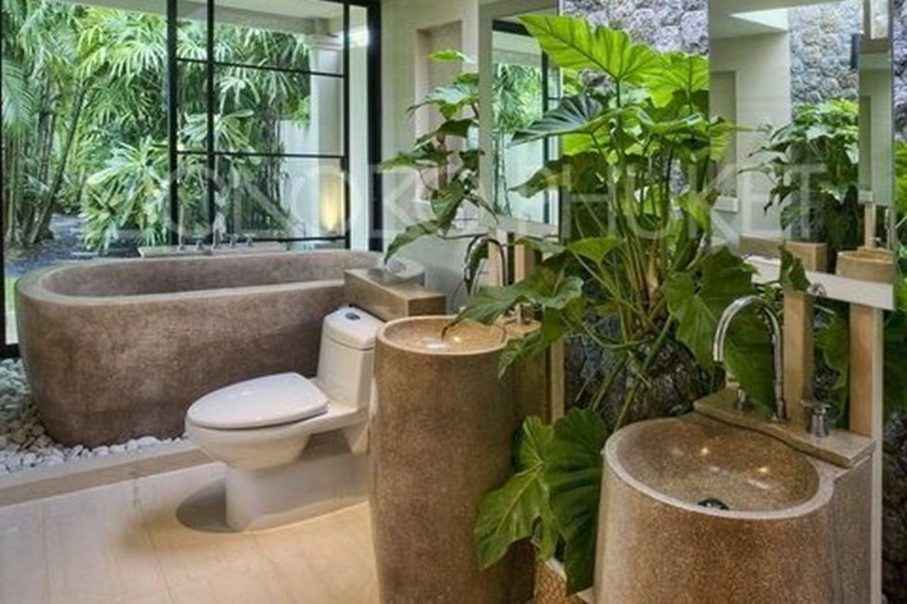 como cuidar de plantas no banheiro