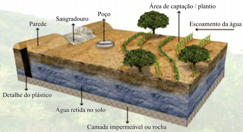 Os Impactos da Barragem Subterrânea na Agricultura Familiar do Semiárido
