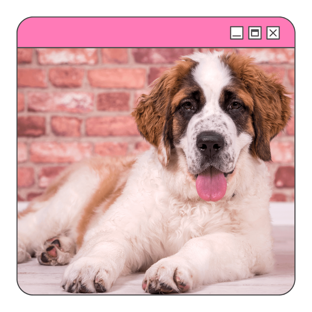 assistir Beethoven online