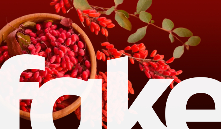 Berberina para Emagrecimento: O Ozempic Natural é um Mito?