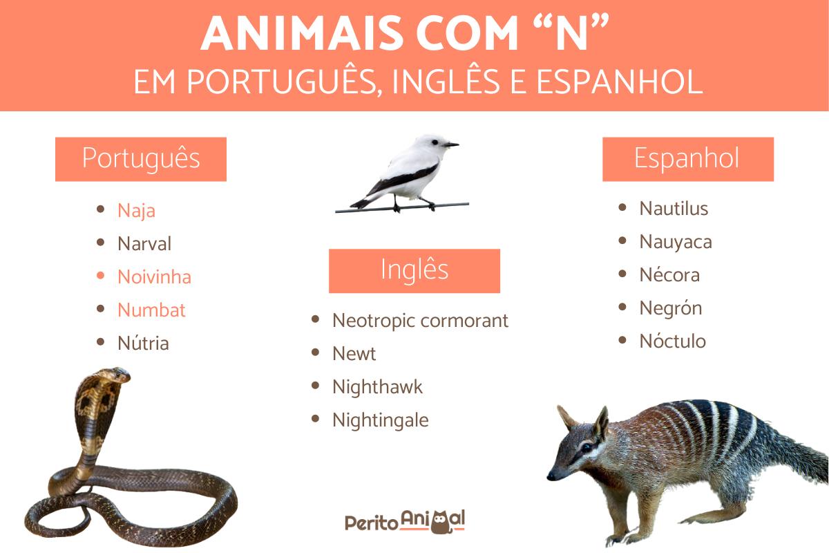 animais que começam com N