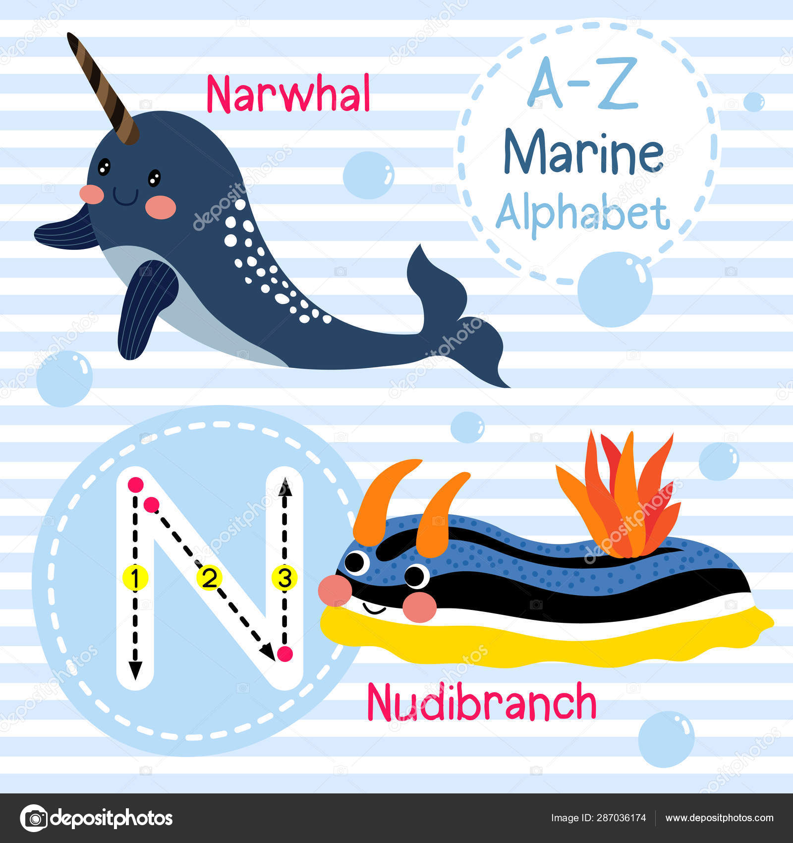 animais marinhos com N