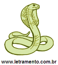 mamíferos com N
