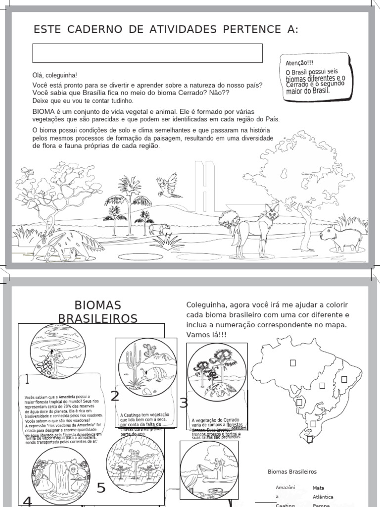 biomas brasileiros para colorir pdf grátis