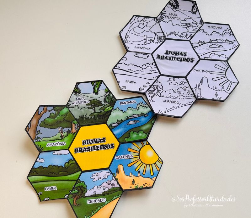 custo de livros de colorir sobre biomas brasileiros