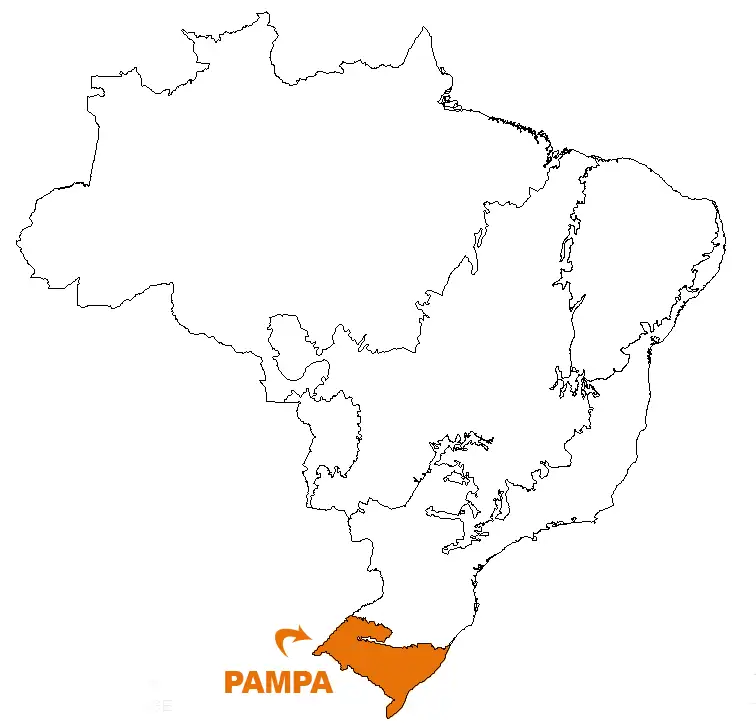 biomas brasileiros para colorir pdf grátis