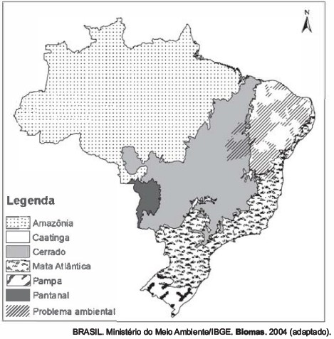 mapa do brasil para colorir vs animais para colorir
