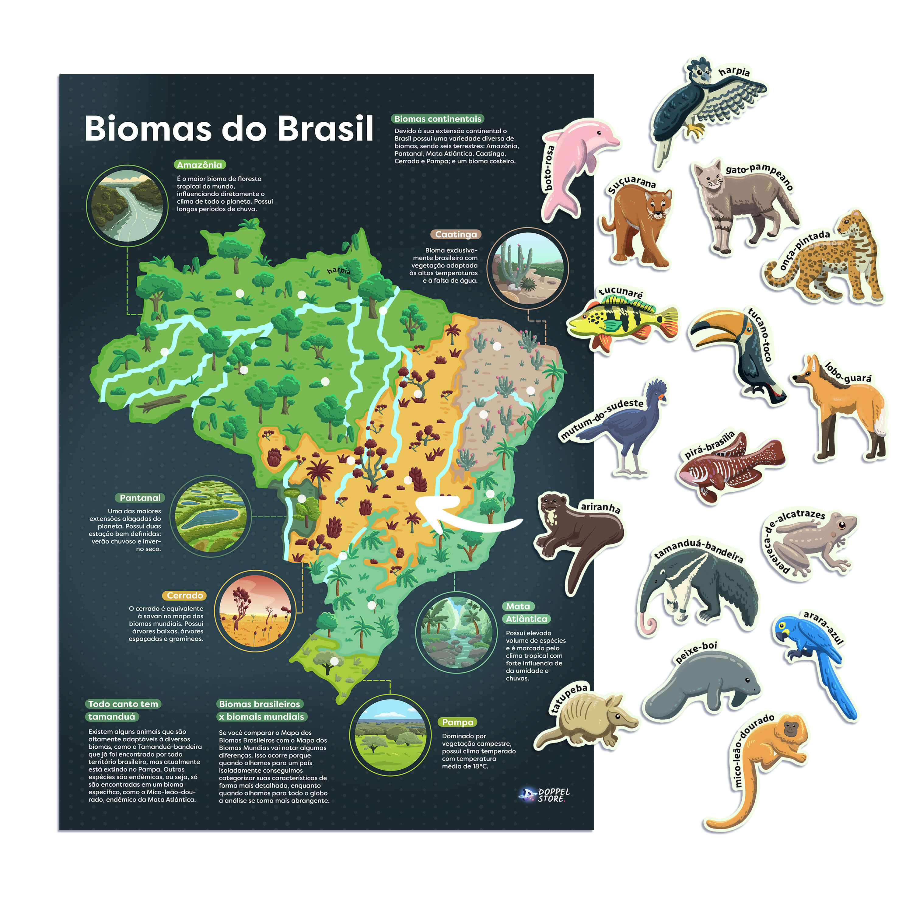 custo de livros de colorir sobre biomas brasileiros